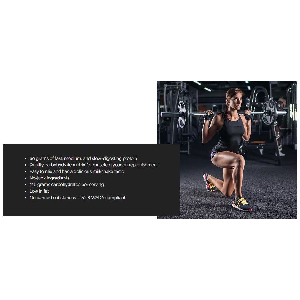 WHEYLABS PRO STANDARD MASS GAINER 1LBS or 2LBS (with FREEBIES) with or without SHAKER - WheyLabs
