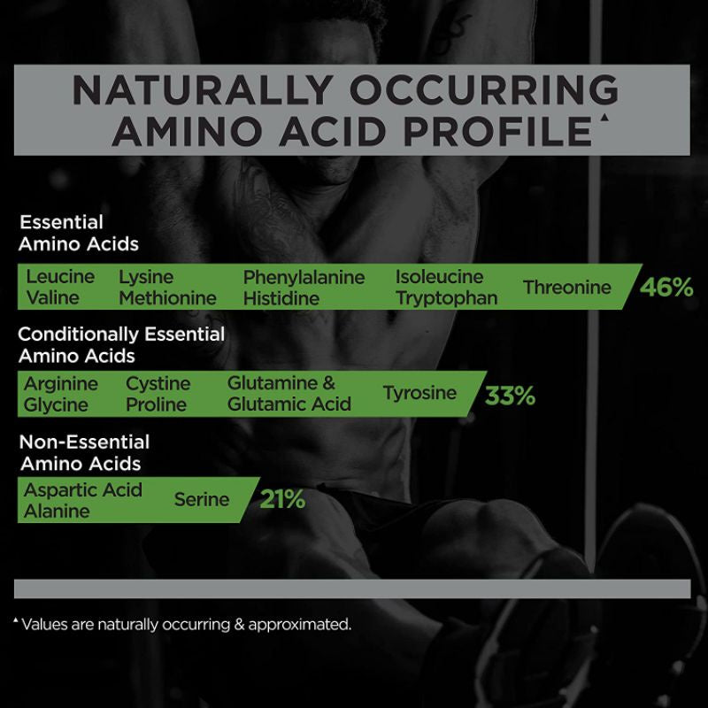 RULE 1 LBS MASS GAINER (1LB OR 2LBS) for WEIGHT GAIN