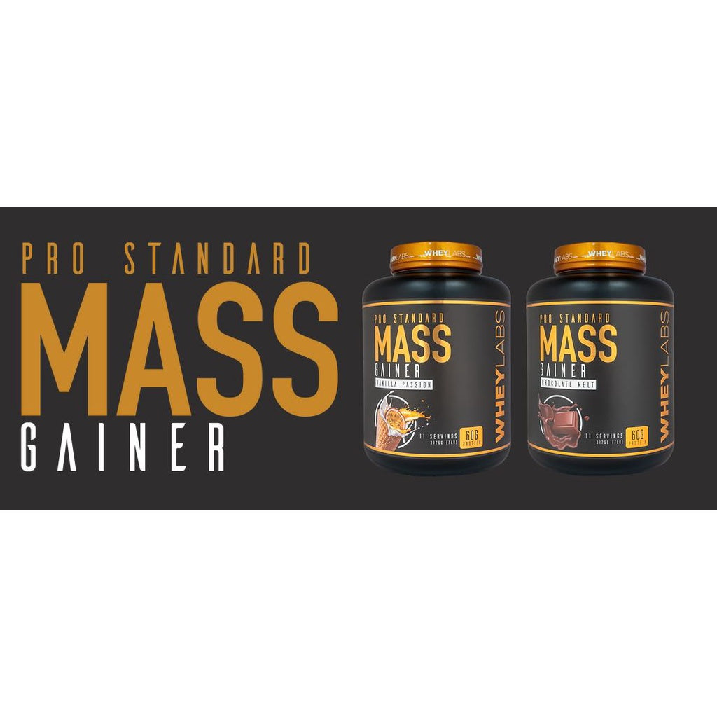 WHEYLABS PRO STANDARD MASS GAINER 1LBS or 2LBS (with FREEBIES) with or without SHAKER - WheyLabs