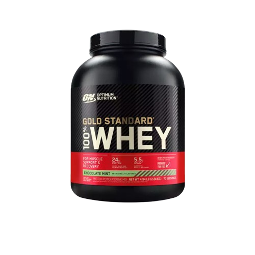 OPTIMUM NUTRITION GOLD STANDARD 100% WHEY 1 SCOOP | PROTEIN POWDER