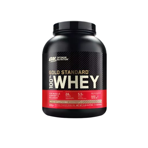 OPTIMUM NUTRITION GOLD STANDARD 100% WHEY 1 SCOOP | PROTEIN POWDER