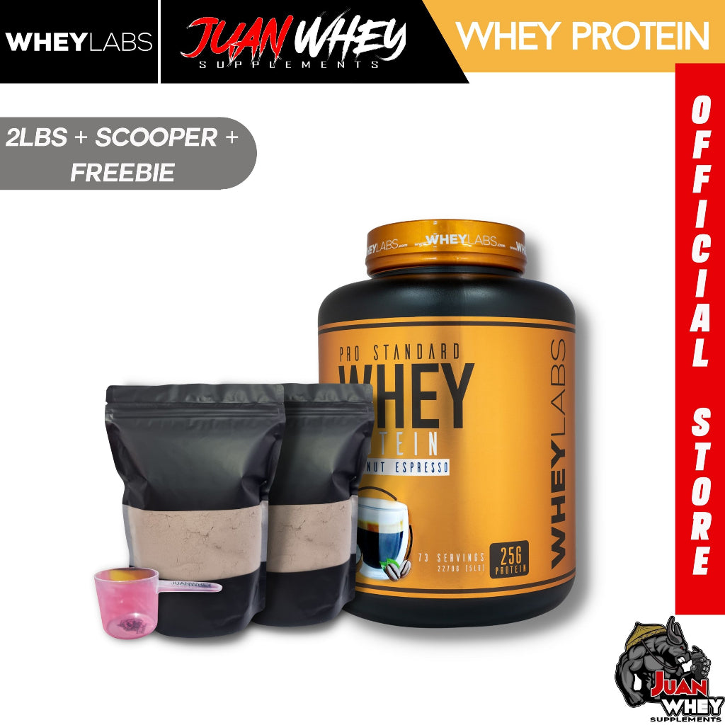 Pro Standard Whey Protein Powder 1LB | 2LBS with Shaker - Wheylabs
