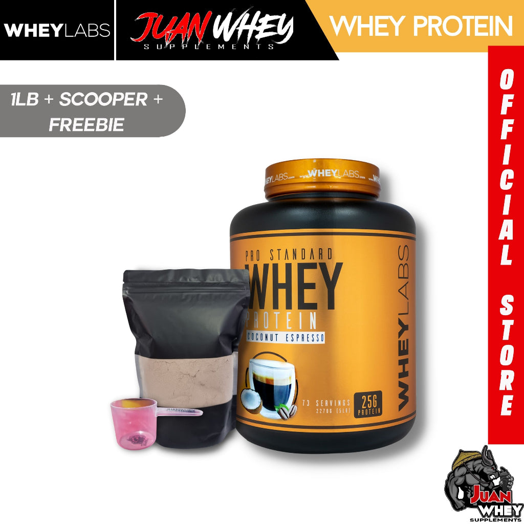 Pro Standard Whey Protein Powder 1LB | 2LBS with Shaker - Wheylabs