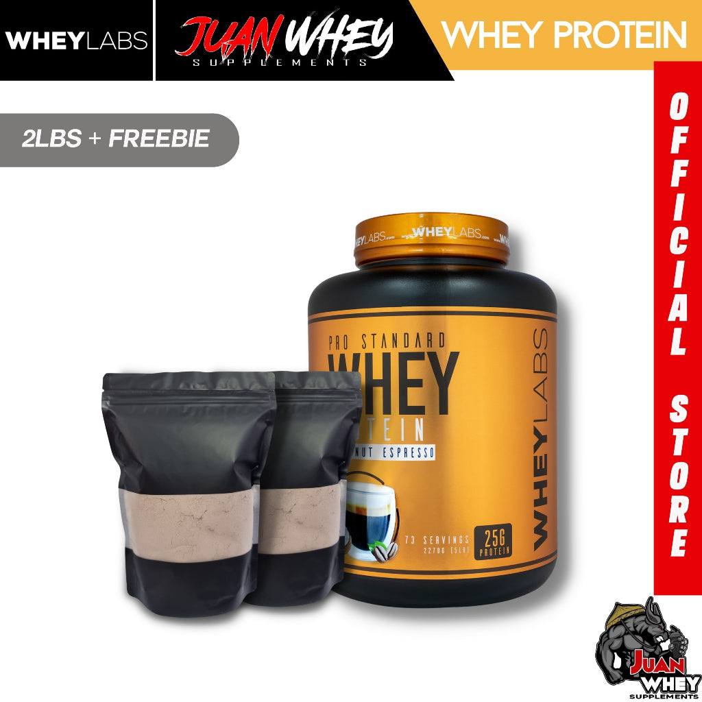 Pro Standard Whey Protein Powder 1LB | 2LBS with Shaker - Wheylabs