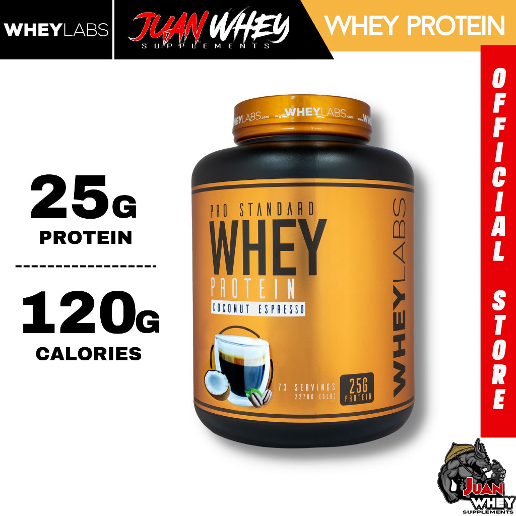 Pro Standard Whey Protein Powder 1LB | 2LBS with Shaker - Wheylabs