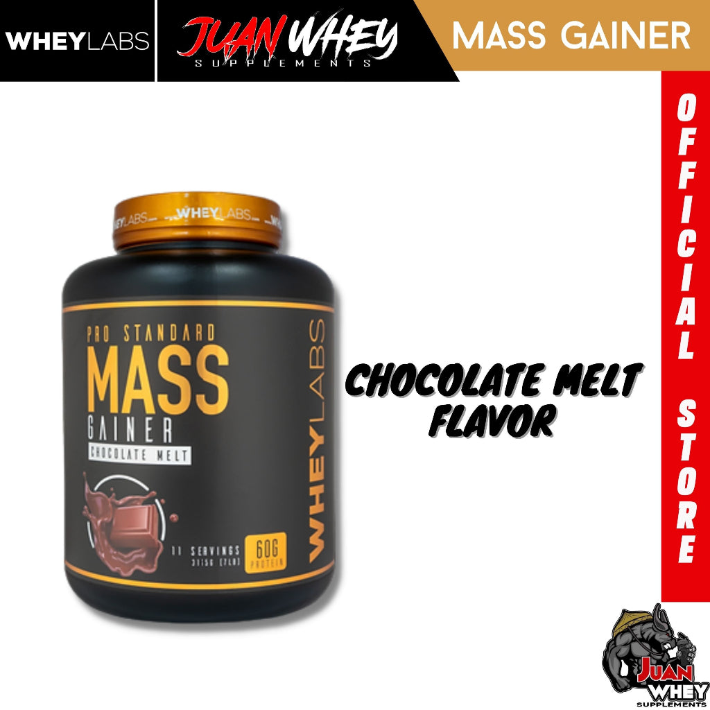 WHEYLABS PRO STANDARD MASS GAINER 1LBS or 2LBS (with FREEBIES) with or without SHAKER - WheyLabs