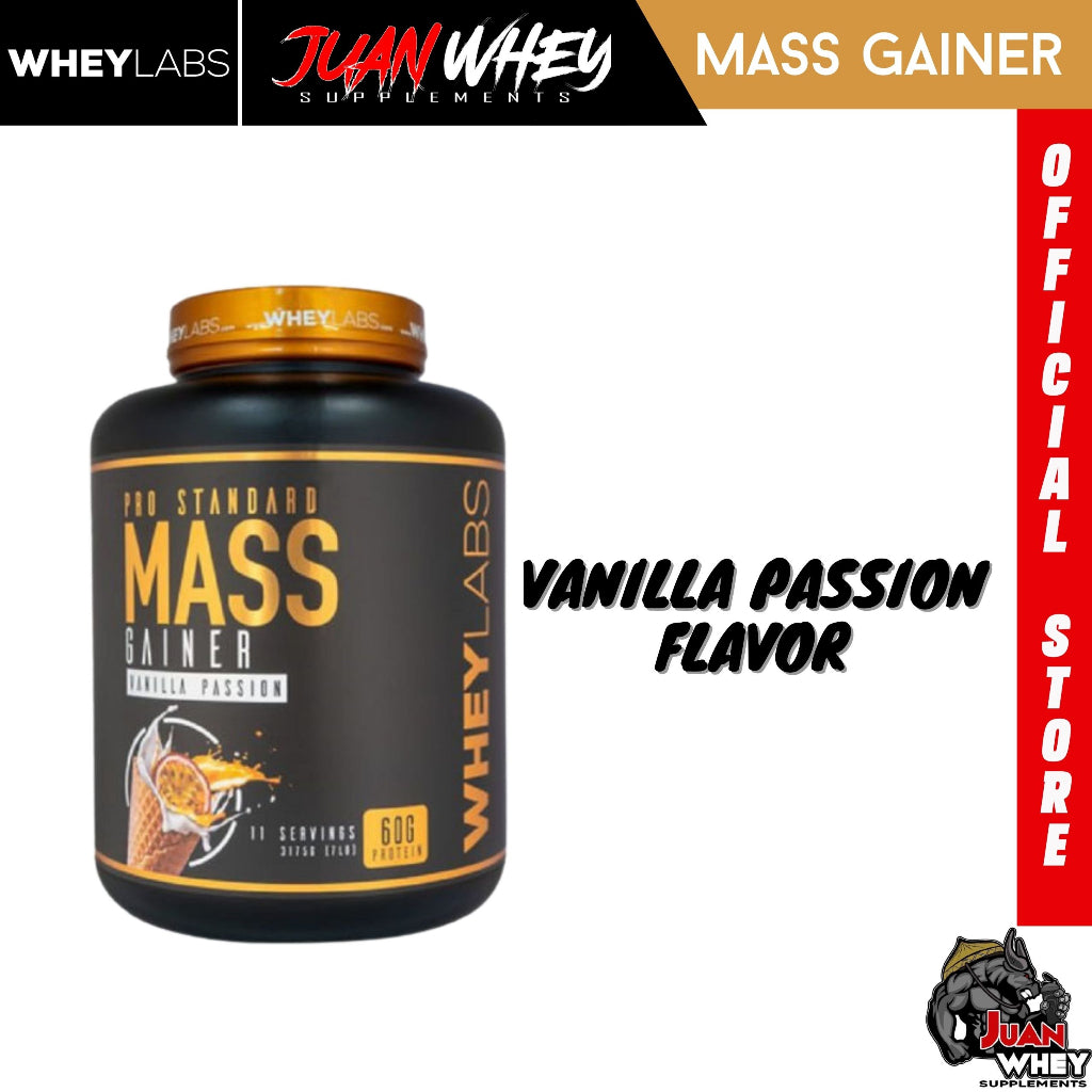 WHEYLABS PRO STANDARD MASS GAINER 1LBS or 2LBS (with FREEBIES) with or without SHAKER - WheyLabs