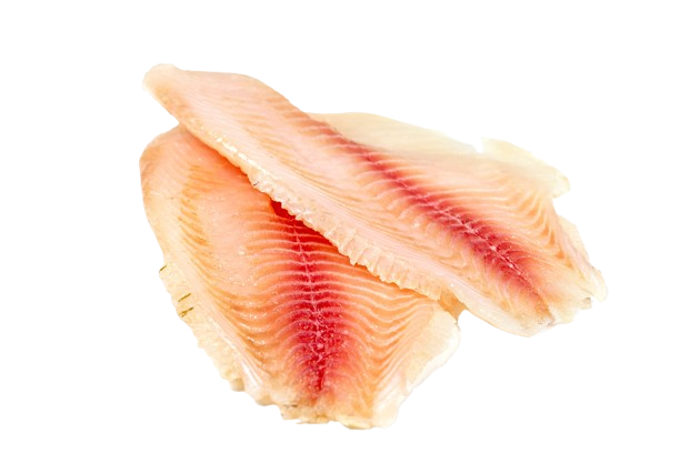 Tilapia Fillet